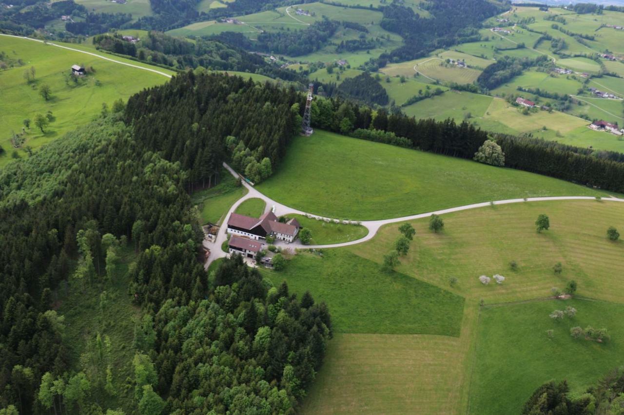 Miniponyhof Biohof Almbauer Apartment Waidhofen an der Ybbs Bagian luar foto