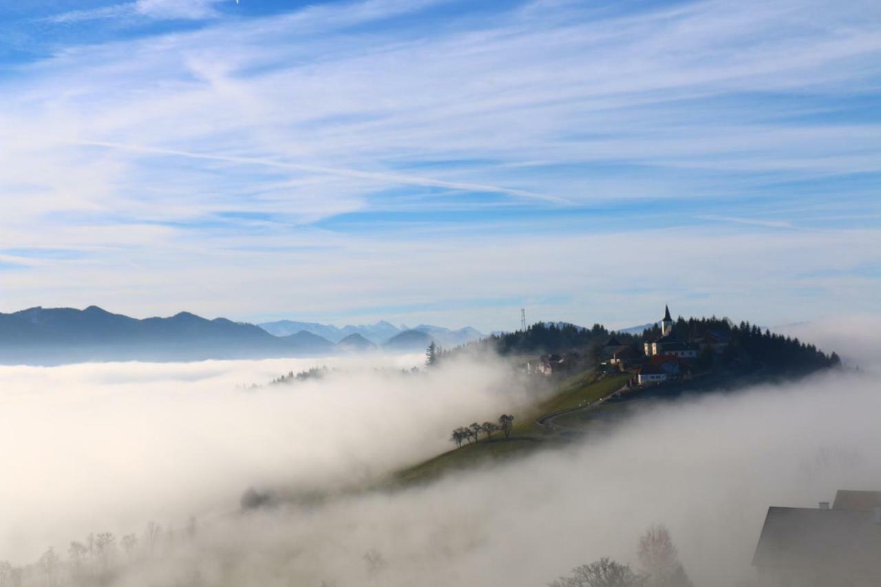 Miniponyhof Biohof Almbauer Apartment Waidhofen an der Ybbs Bagian luar foto